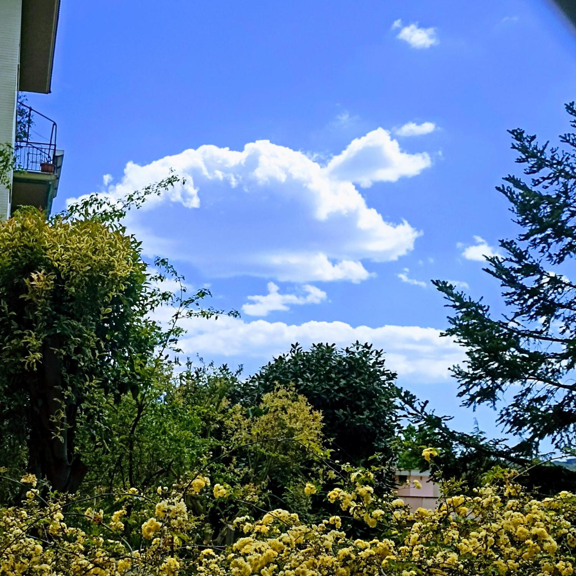 Ripe'S Forest Garden Guest House ローマ エクステリア 写真